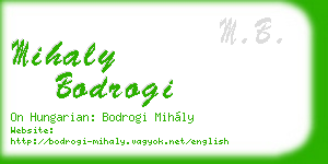 mihaly bodrogi business card